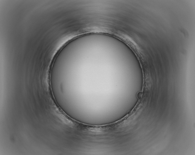 X0000111021182200906261534