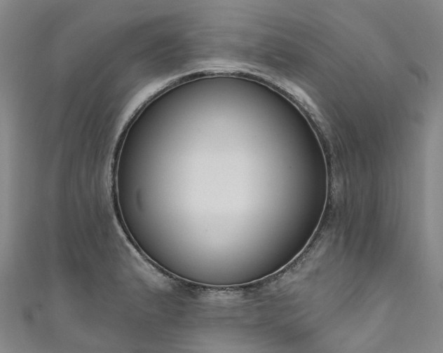 X0000111021183200906261534