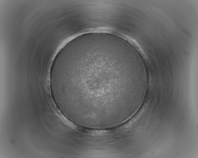 X0000111021184200906261534
