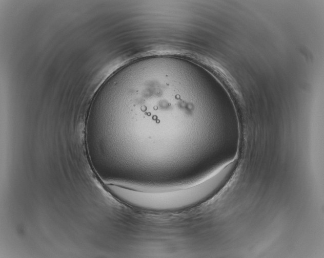 X0000111021185200906261534