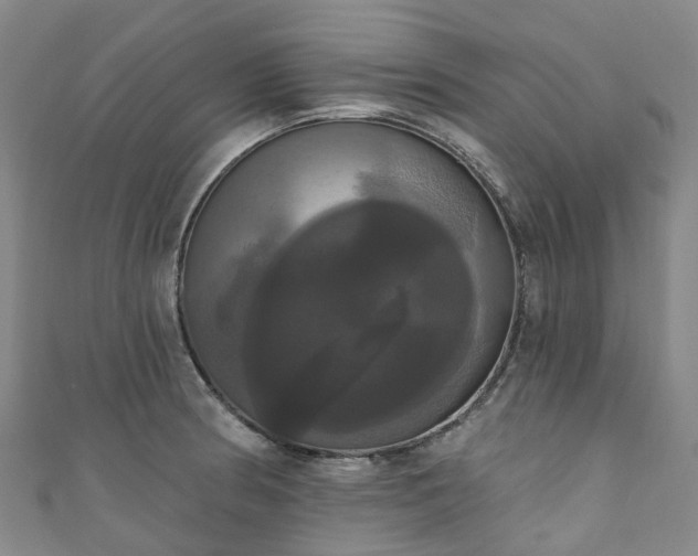 X0000111021186200906261534