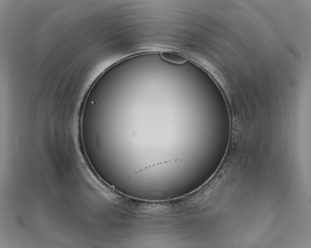 X0000111021187200906261534