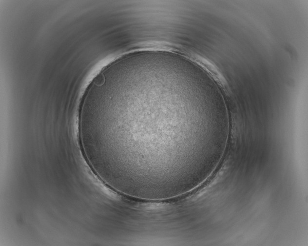 X0000111021188200906261534