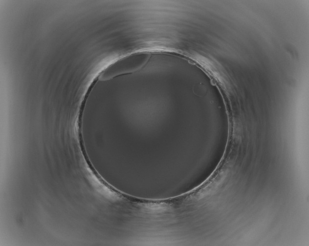 X0000111021189200906261534