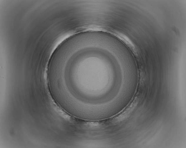 X0000111021190200906261534