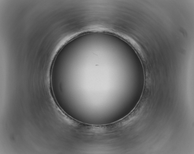 X0000111021191200906261534