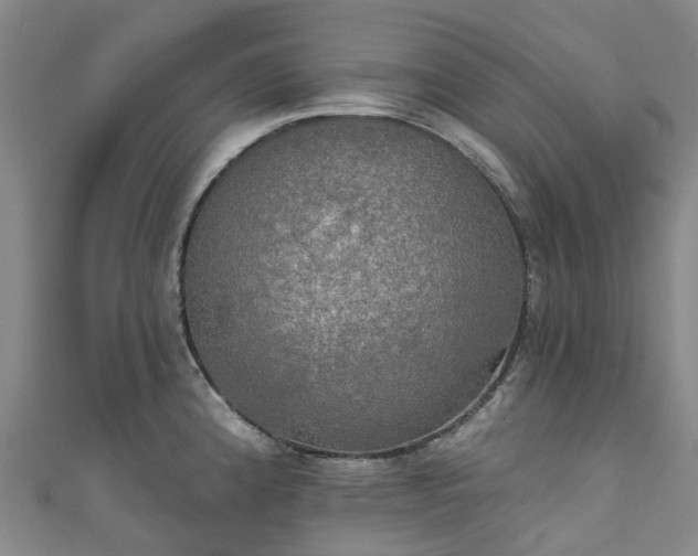X0000111021192200906261534