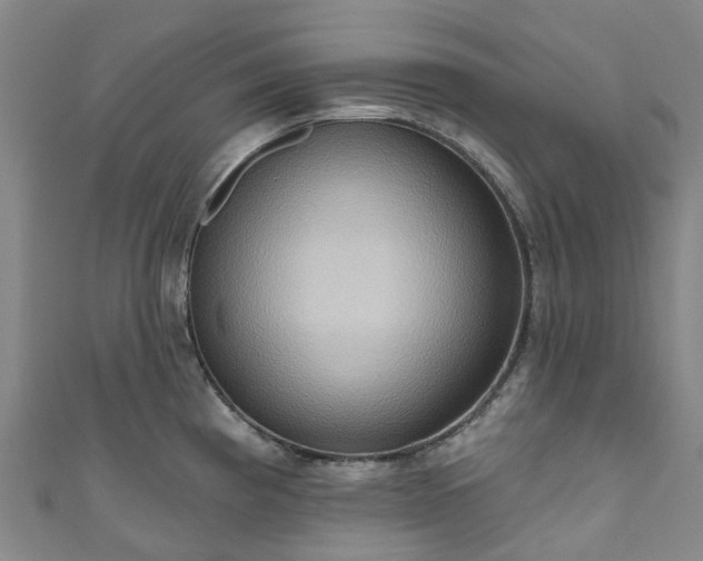 X0000111021193200906261534