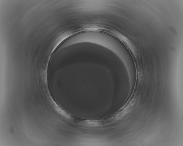 X0000111021194200906261534