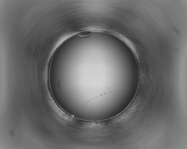 X0000111021195200906261534