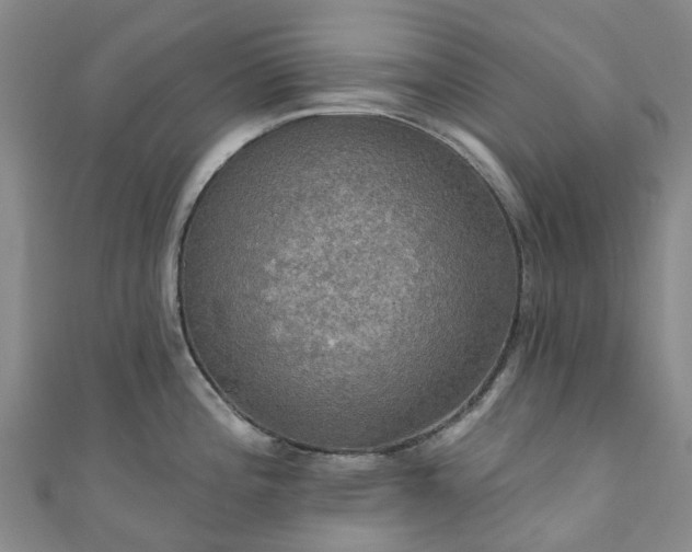 X0000111021196200906261534