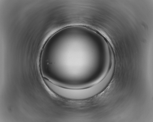 X0000111021197200906261534