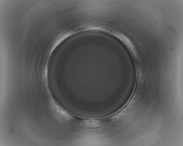 X0000111021198200906261534