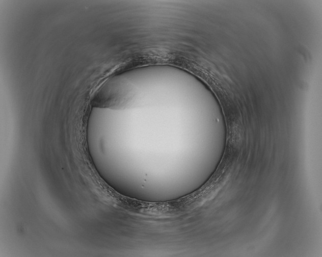 X0000111021201200906261533
