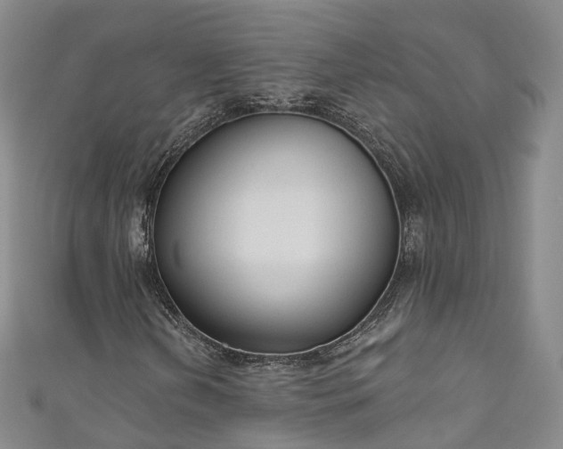 X0000111021202200906261533