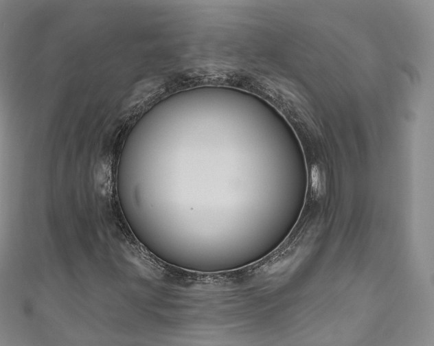 X0000111021203200906261533
