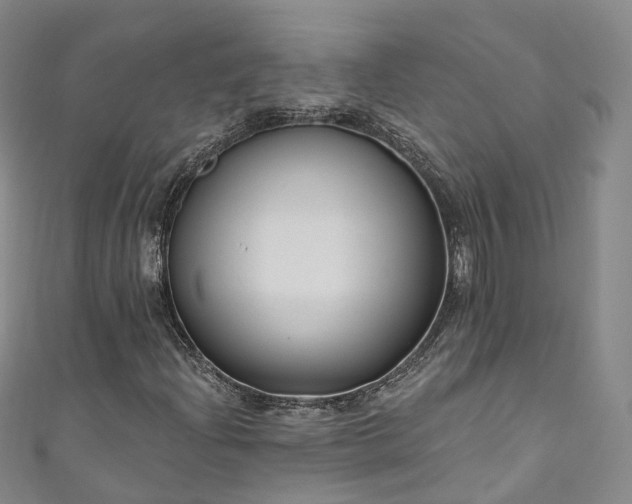 X0000111021204200906261533