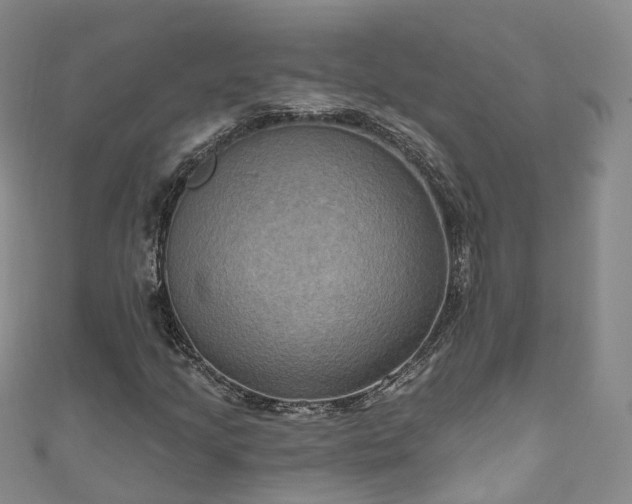 X0000111021205200906261533