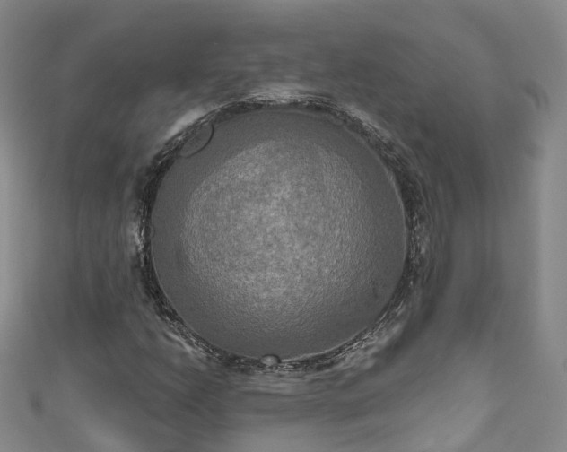 X0000111021206200906261533