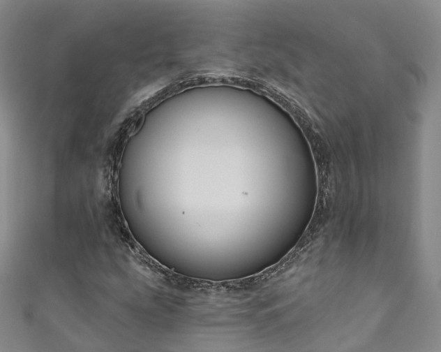 X0000111021207200906261533
