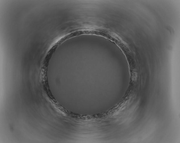 X0000111021208200906261533