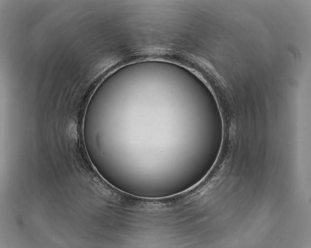 X0000111021209200906261533