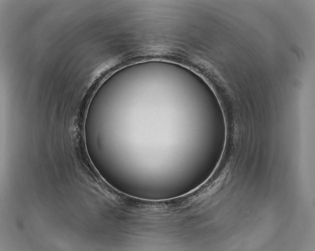 X0000111021210200906261533