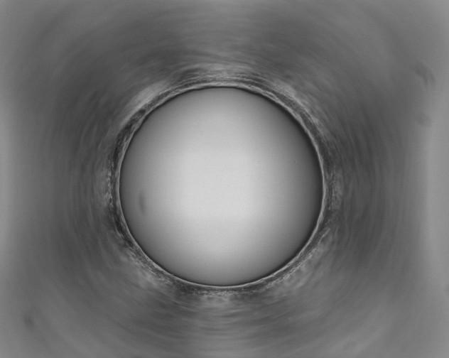 X0000111021211200906261533