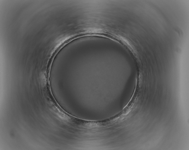 X0000111021212200906261533