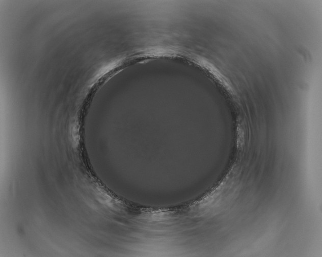 X0000111021213200906261533