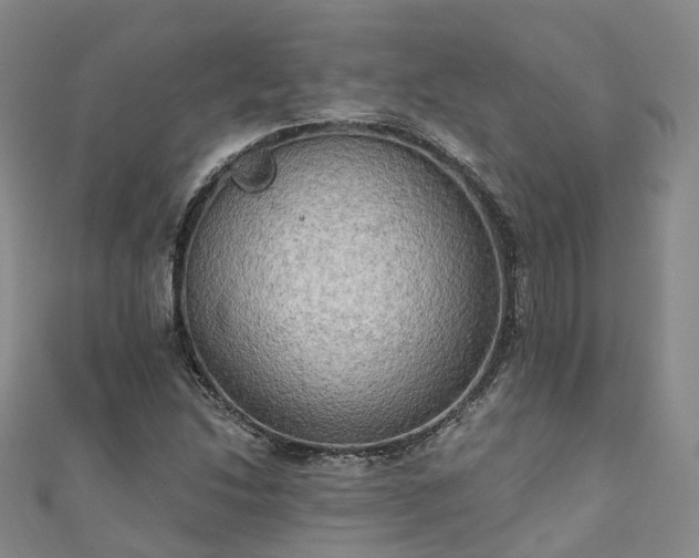 X0000111021214200906261533