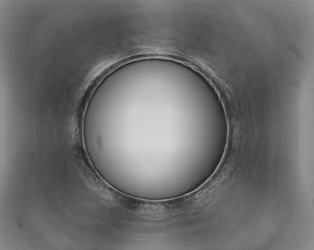 X0000111021215200906261533