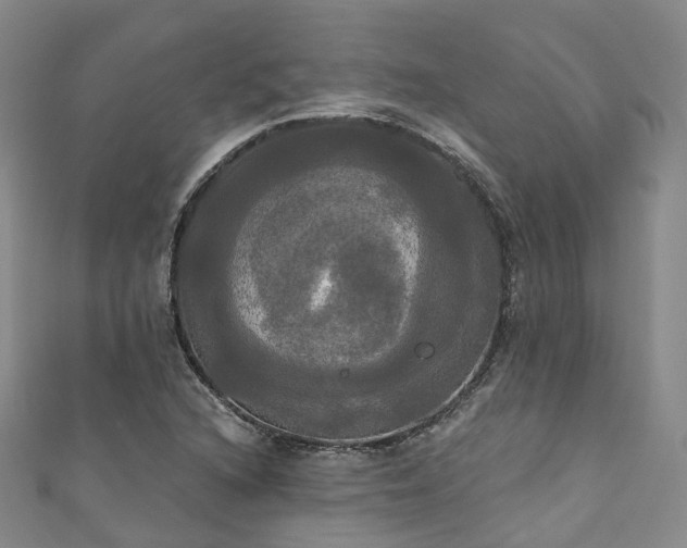 X0000111021216200906261533