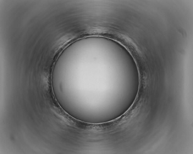 X0000111021217200906261533