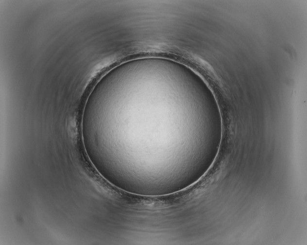 X0000111021218200906261533