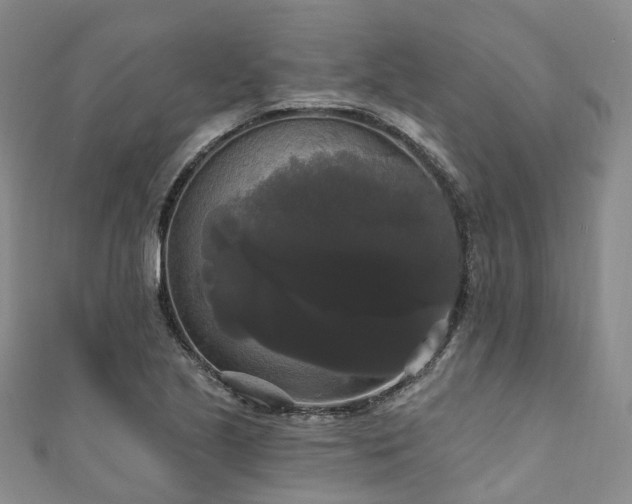 X0000111021221200906261534