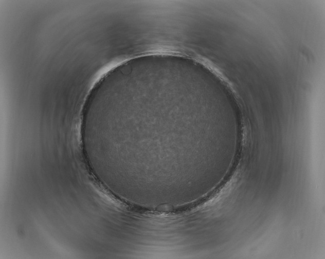 X0000111021222200906261534