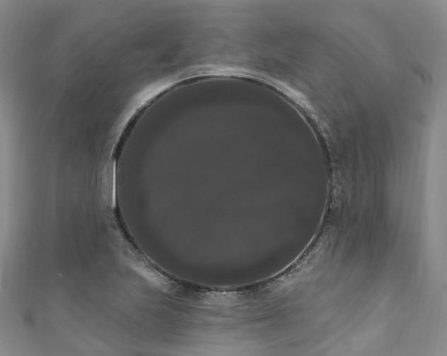 X0000111021223200906261534