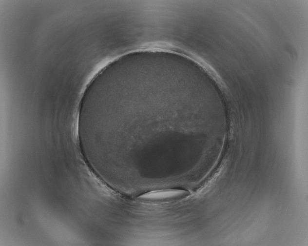 X0000111021224200906261534