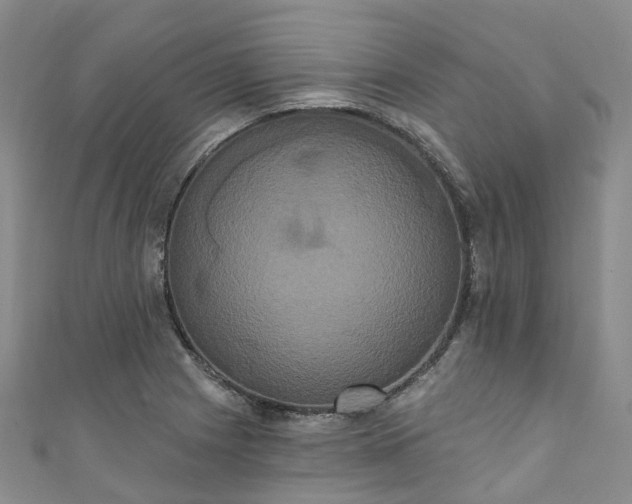 X0000111021225200906261534