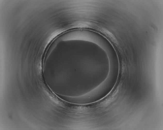 X0000111021226200906261534