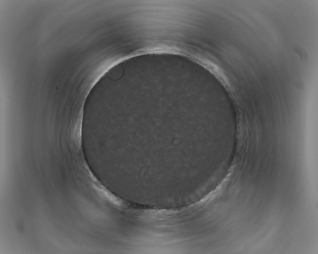 X0000111021228200906261534