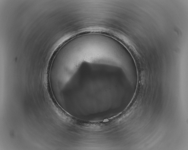 X0000111021229200906261534