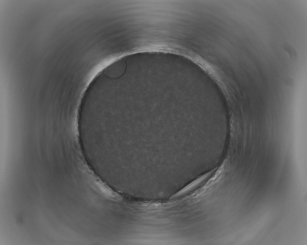 X0000111021230200906261534