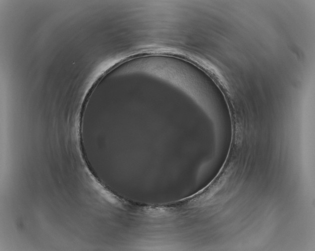 X0000111021231200906261534