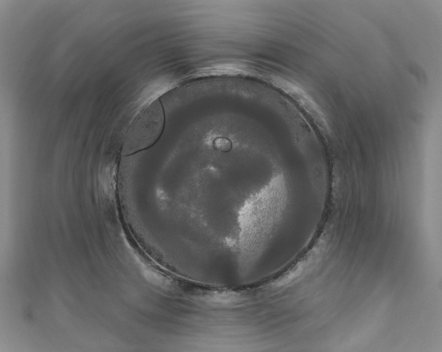 X0000111021233200906261534