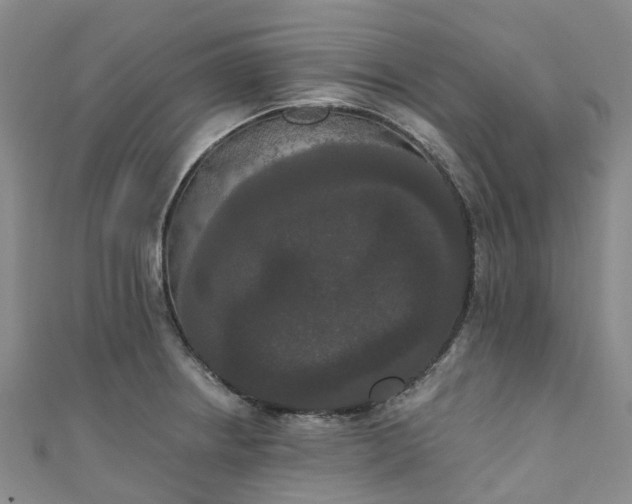 X0000111021234200906261534