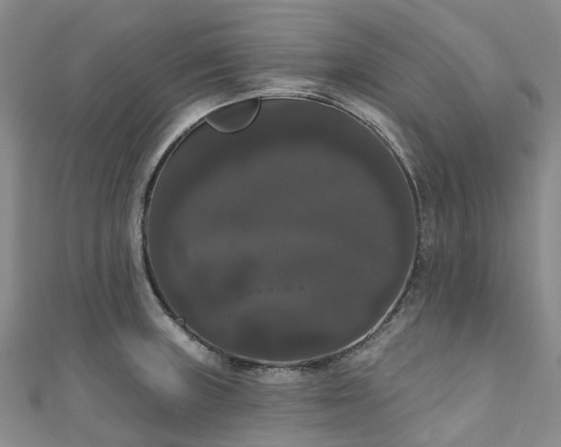 X0000111021235200906261534