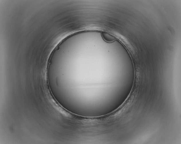 X0000111021236200906261534