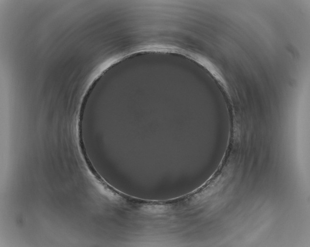 X0000111021237200906261534